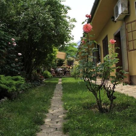 Apartman Brankova Kuca Sremski Karlovci Exterior foto